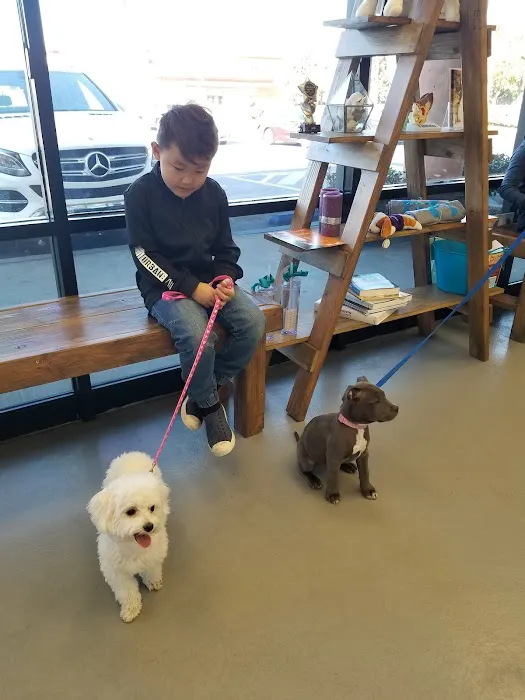 Healthy Paws Veterinary Care 10
