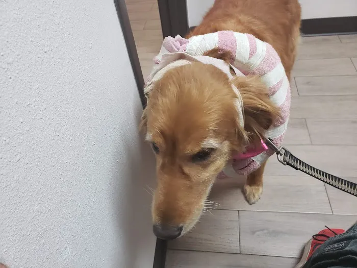 Riverdale Animal Hospital 12