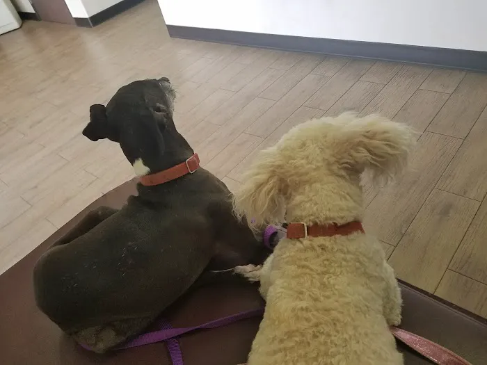 Riverdale Animal Hospital 12