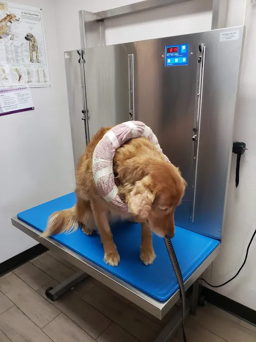 Riverdale Animal Hospital 12