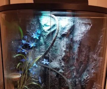 The Reptile Store