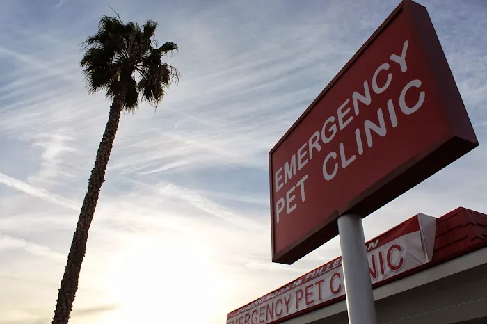 Orange County Emergency Pet Clinic 12