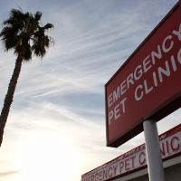 Orange County Emergency Pet Clinic ico