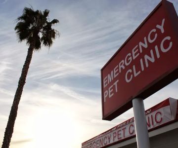 Orange County Emergency Pet Clinic