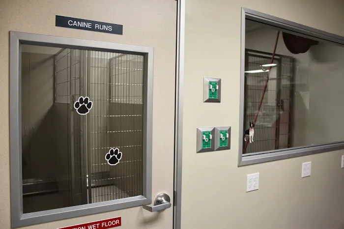 Orange County Emergency Pet Clinic 12