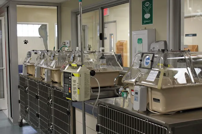 Orange County Emergency Pet Clinic 12