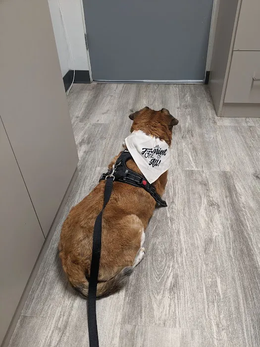 Sunny Hills Veterinary Hospital 12