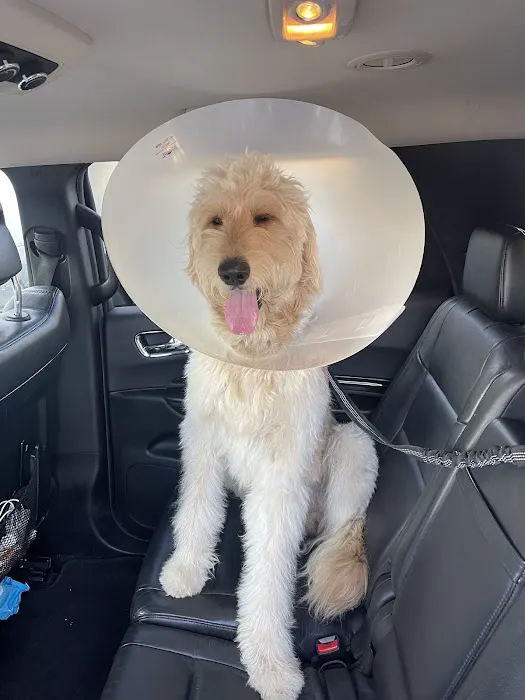 Sunny Hills Veterinary Hospital 12