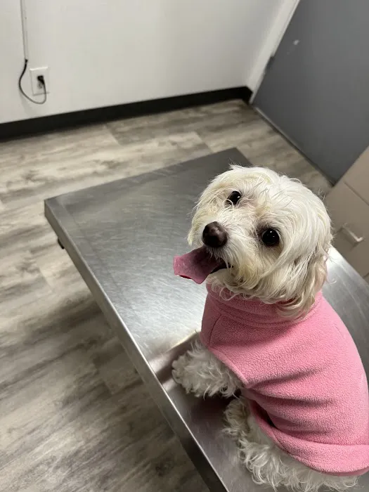 Sunny Hills Veterinary Hospital 12