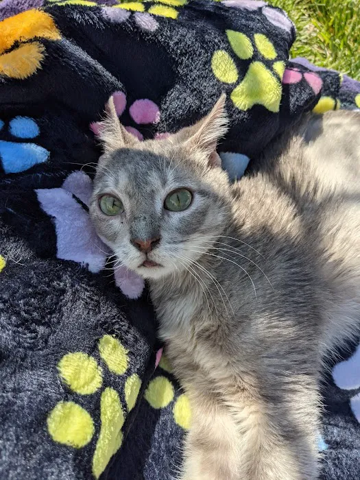 Sunny Hills Veterinary Hospital 12