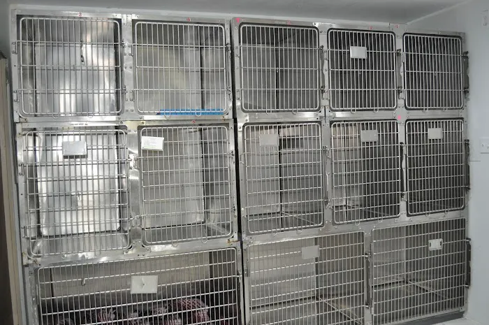 Nohl Ranch Animal Hospital 12