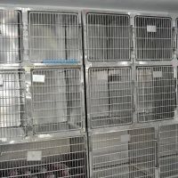 Nohl Ranch Animal Hospital ico