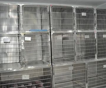 Nohl Ranch Animal Hospital