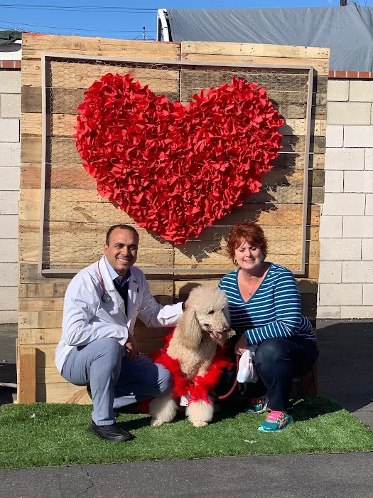 Nohl Ranch Animal Hospital 12