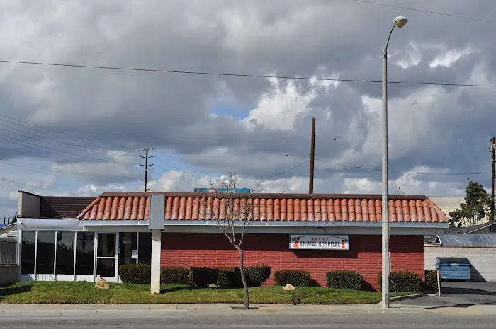 Nohl Ranch Animal Hospital 12