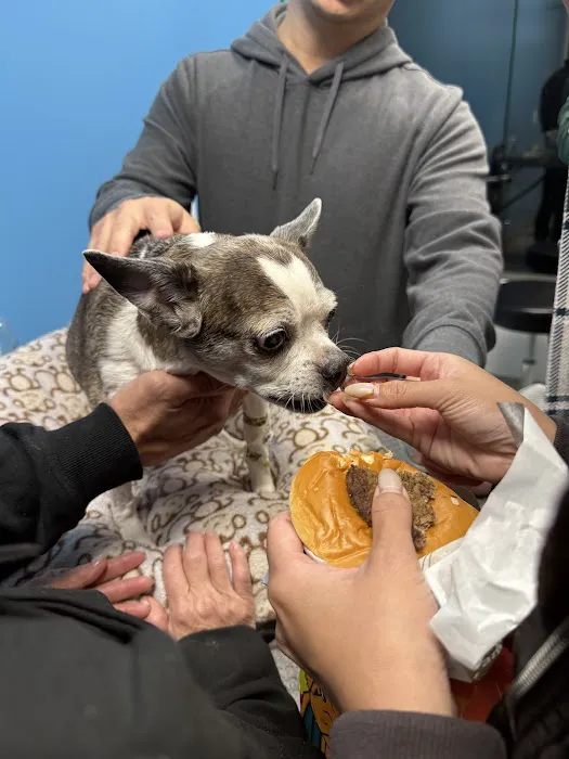 Placentia Veterinary Clinic 12
