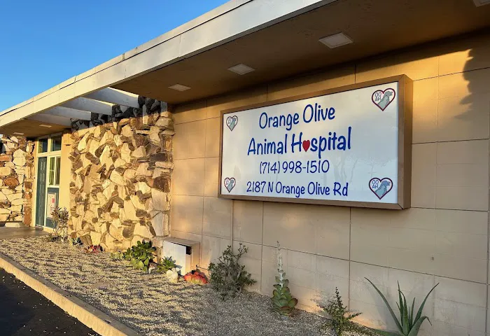 Orange-Olive Animal Hospital 12
