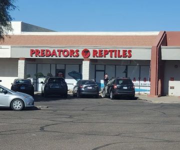 Predators Reptile Center