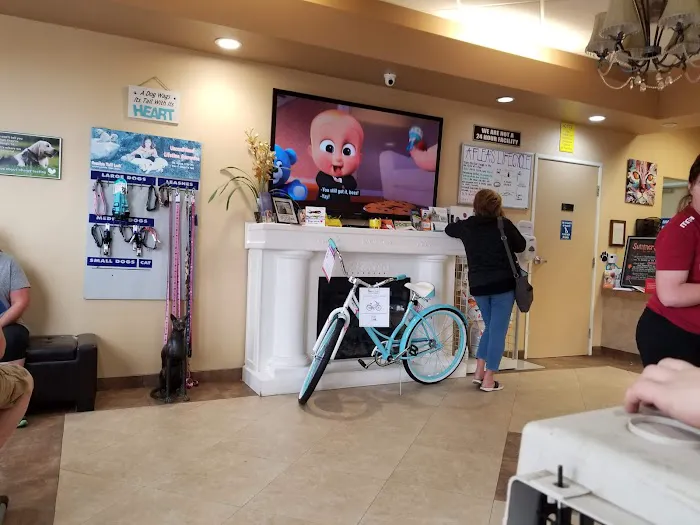 AAA Animal Hospital 12