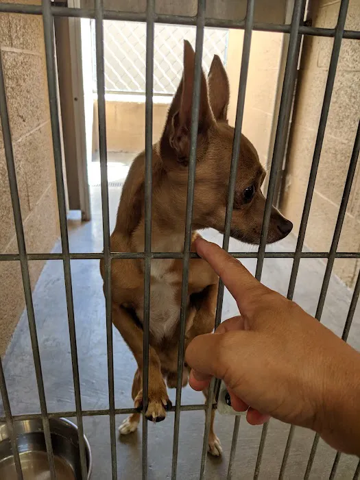 AAA Animal Hospital 12