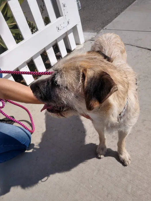 AAA Animal Hospital 12