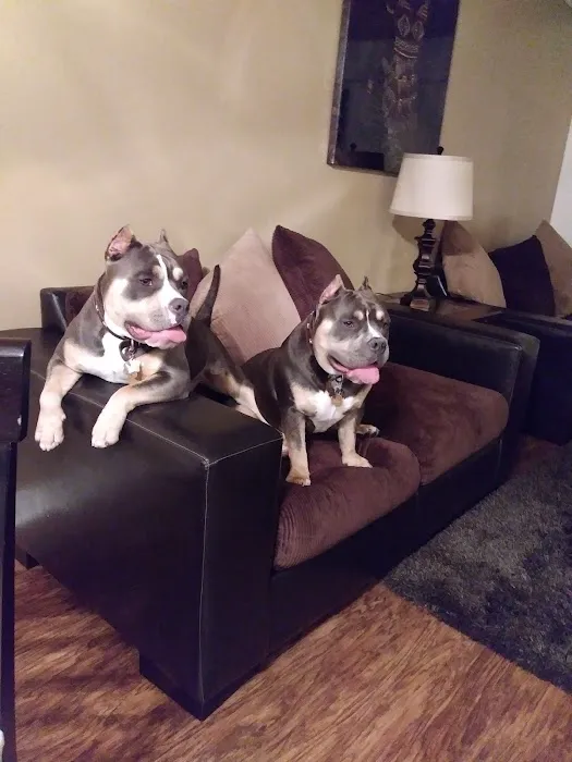 Banfield Pet Hospital 12
