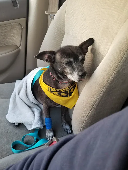 Banfield Pet Hospital 12