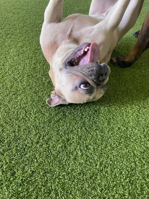 Banfield Pet Hospital 12