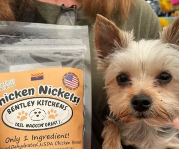 DESERT PAMPERED PETS
