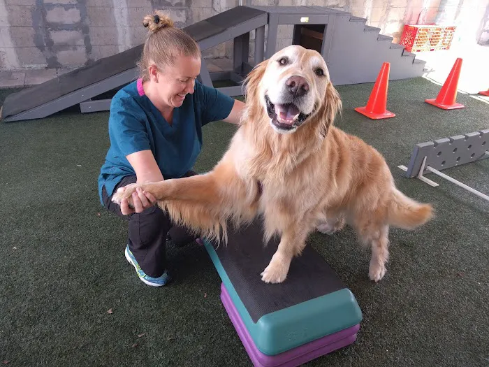 Canine Rehabilitation Of Orange County 12