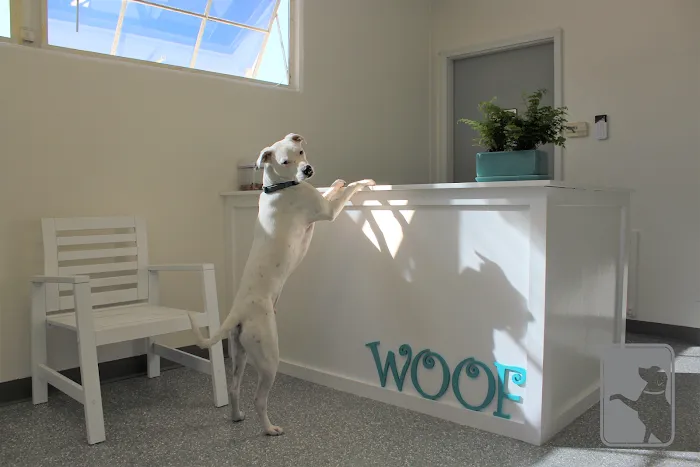 Canine Rehabilitation Of Orange County 12