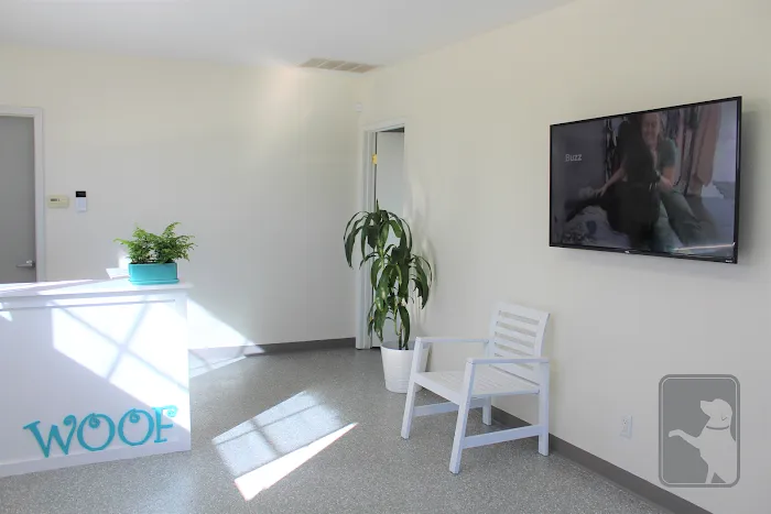 Canine Rehabilitation Of Orange County 12