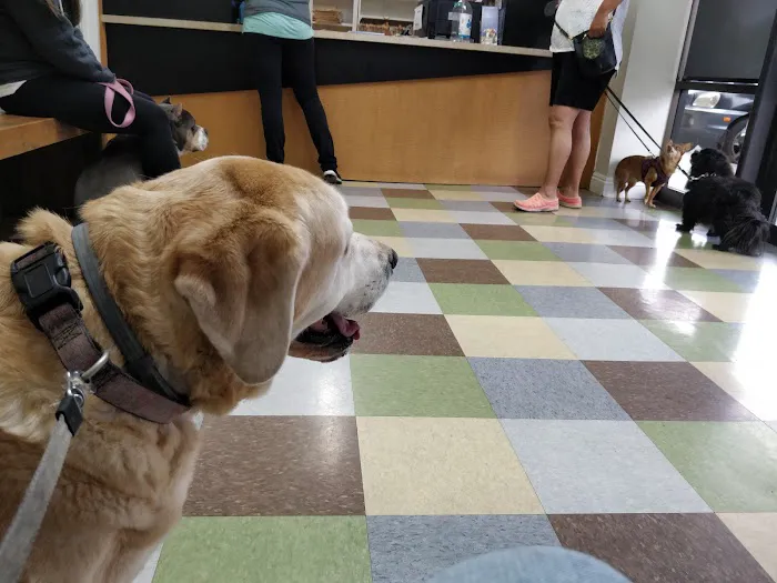 Alton Main Animal Hospital 12