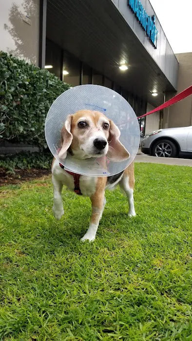 Alton Main Animal Hospital 12