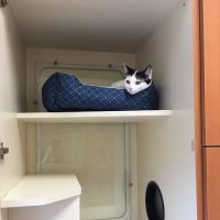 Tustin Care Animal Hospital ico