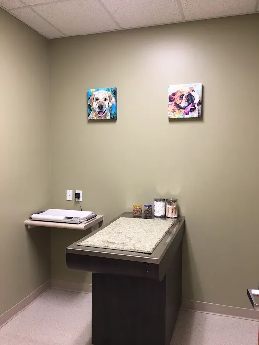 Tustin Care Animal Hospital 12
