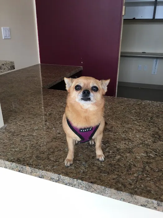 Tustin Care Animal Hospital 12