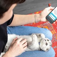 VCA Animal Hospitals Urgent Care - Tustin ico