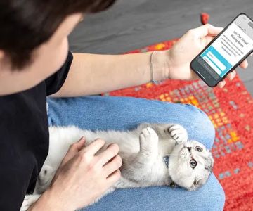 VCA Animal Hospitals Urgent Care - Tustin