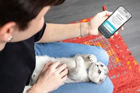 VCA Animal Hospitals Urgent Care - Tustin