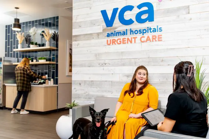 VCA Animal Hospitals Urgent Care - Tustin 12