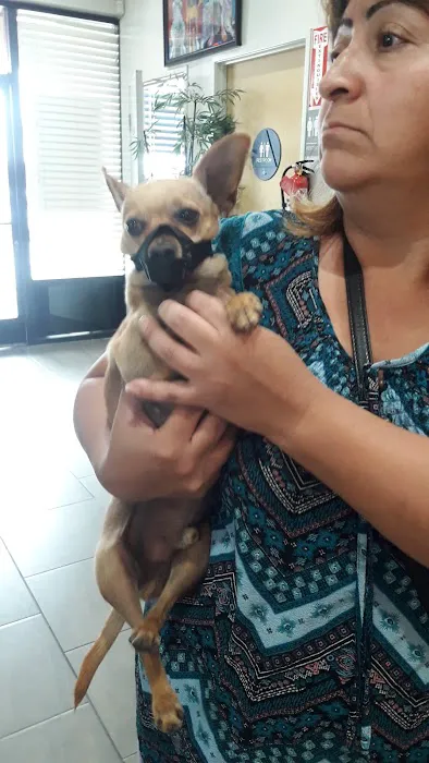 Veterinary Out-Patient Clinic 12