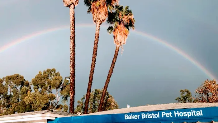 Baker Bristol Pet Hospital 2