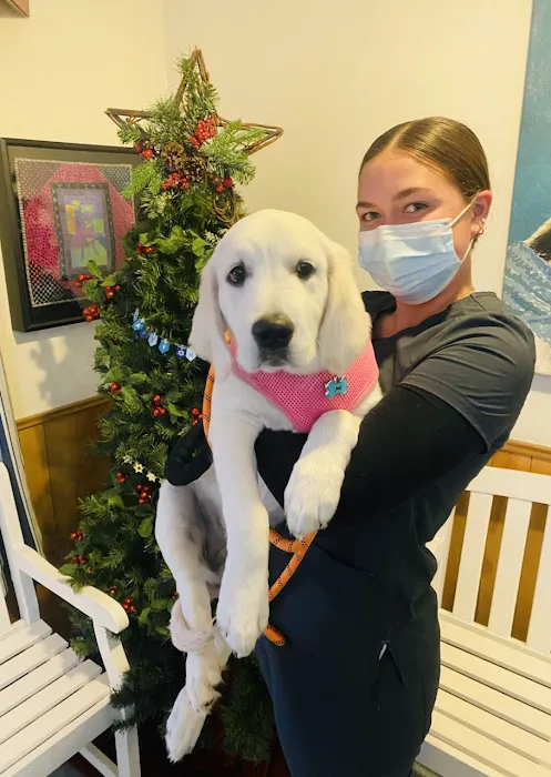 Baker Bristol Pet Hospital 7