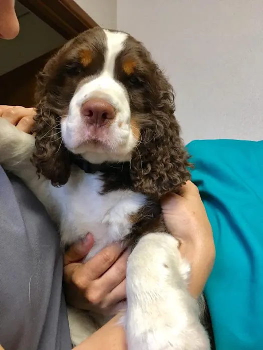 Baker Bristol Pet Hospital 3