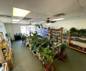 The Chlorophyll Corner by Katz Creations