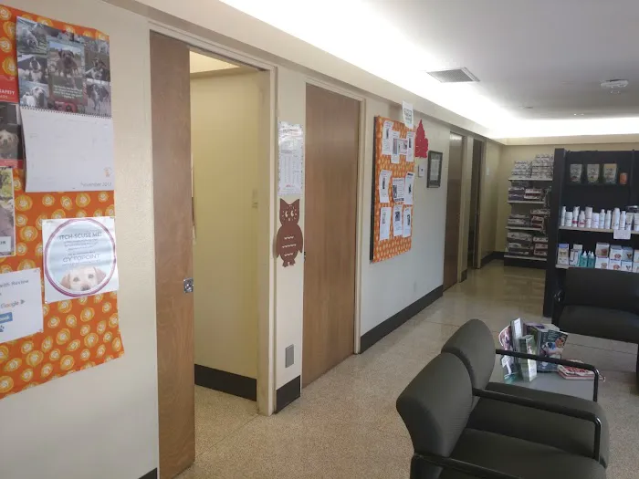 VCA Airport Irvine Animal Hospital 5