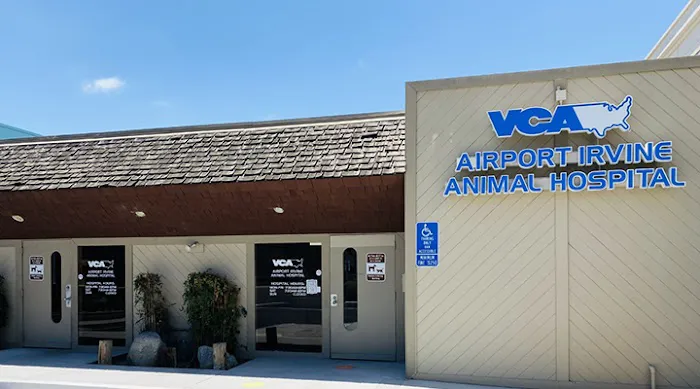 VCA Airport Irvine Animal Hospital 6