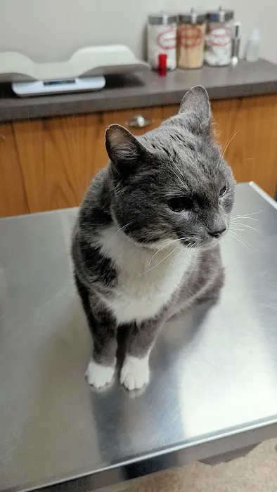 Saddleback Animal Hospital 1