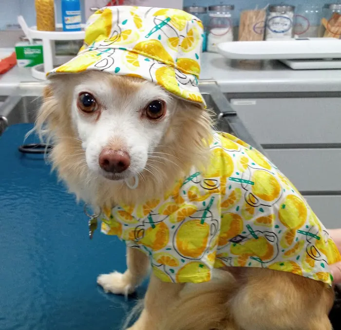 Tustana Animal Hospital 9